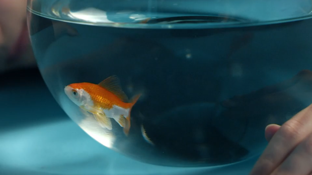 «La Mer», plásticos no por favor