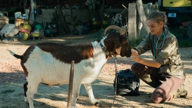 'Una veterinaria en la Borgoña': amor por el mundo rural en una comedia a la francesa