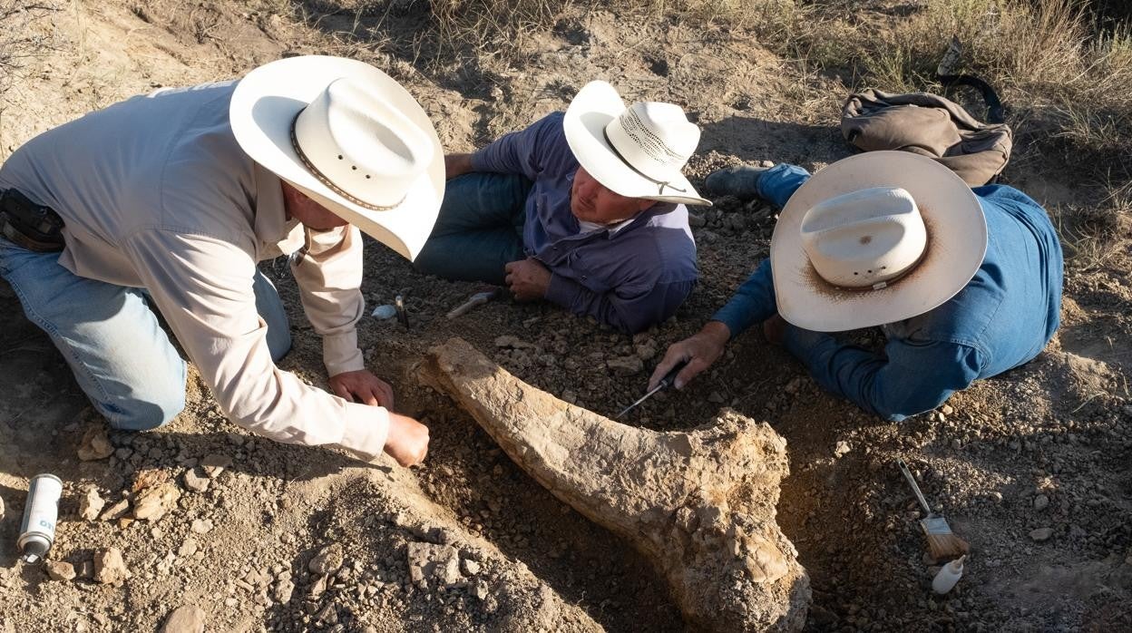 Un grupo de ganaderos descubre lo que parece un fósil de dinosaurio