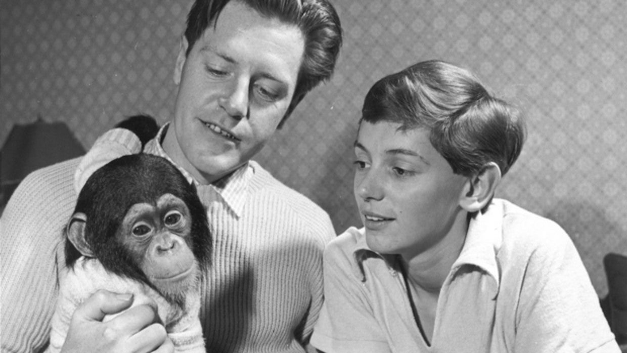 Gerald Durrell, con su primera mujer, Jacquie