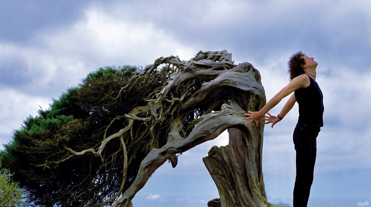 La inesperada conexión canaria de Brian May