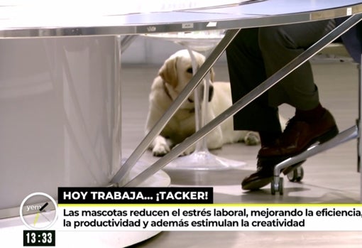 Tacker, sentado junto a Sonsoles Ónega, en 'Ya es mediodía'.
