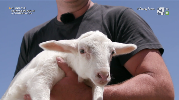 Un 'reality' español que premia al más animal