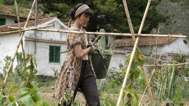 Crítica de 'La casa entre los cactus': La trastienda de una familia saludable