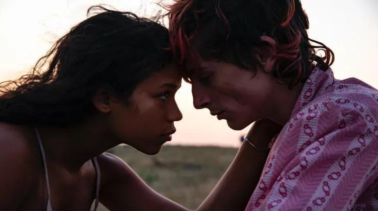 Crítica de 'Hasta los huesos: Bones and All': Carnívoros con alma vegana
