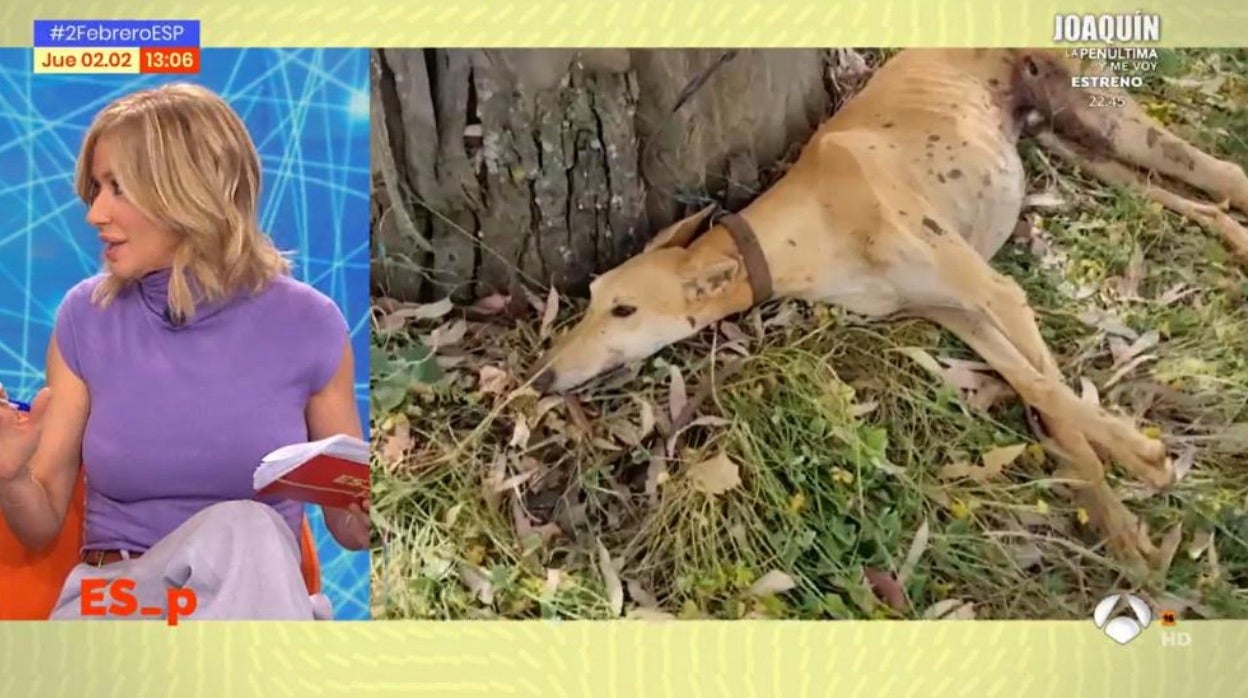 Susanna Griso, presentadora de 'Espejo Público', ha cargado contra Podemos.