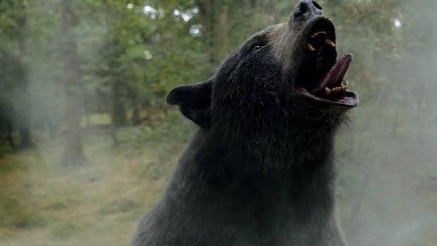 'Oso vicioso', la sobredosis de cocaína que mató a un oso se convierte en la película más loca de la temporada