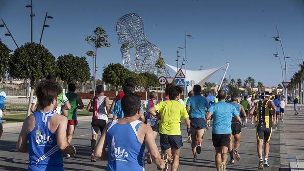 Participantes en la media maratón de 2014