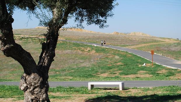 Los árboles de sombra llegarán a principios de 2016 al parque Dehesa Doña María