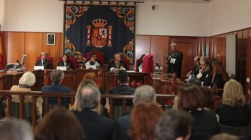 Carmona, durante su intervención