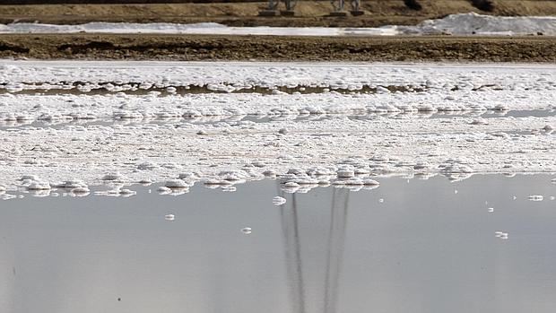 El Gobierno busca la forma de mejorar las tierras de El Puerto