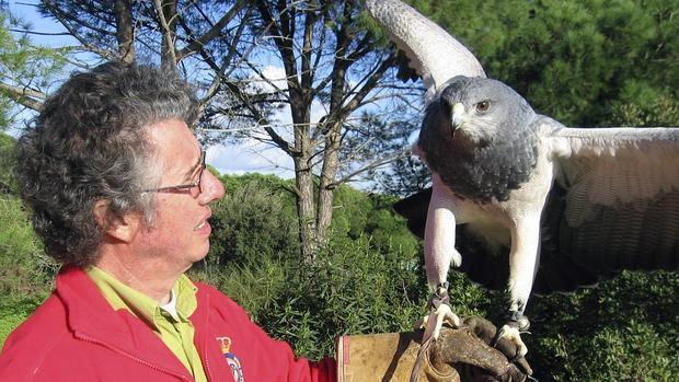 Manuel Diego Pareja-Obregón, organizador del campeonato, junto a una de sus rapaces