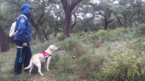 Un amplio dispositivo busca por tierra y aire a la mujer desaparecida en Ubrique