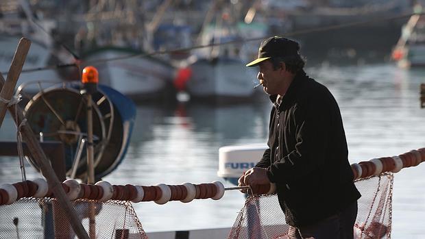 Amarrada a puerto la flota pesquera por las condiciones meteorológicas