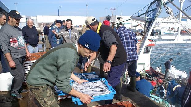 La flota de cerco del Golfo vuelve a pescar boquerón