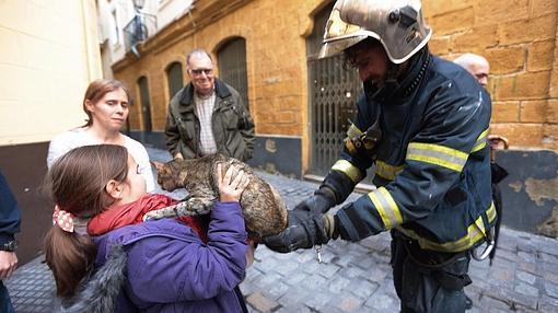 Un bombero devuelve a su dueña el gato