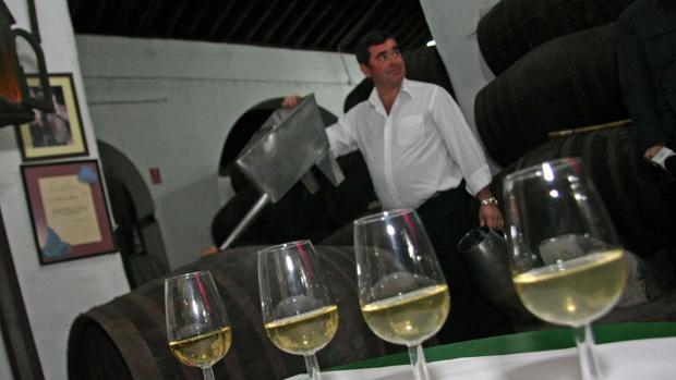 La Junta desoye a las grandes bodegas y autoriza la venta de manzanilla en envases de cartón