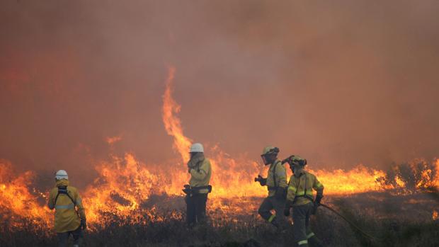 Los equipos de extinción, sobre el terreno incendidado la pasada semana.