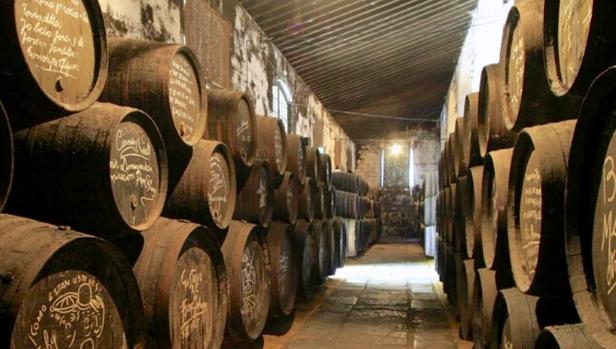 Los vinos de Jerez y Picasso en la bodega