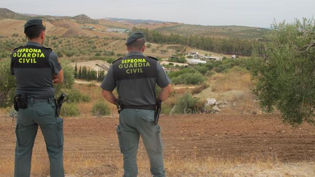 Agentes de la Guardia Civil en el paraje donde se ha localizado la urbanización ilegal