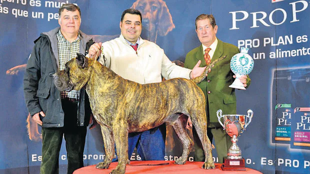 Felipe Llano con su campeón en una exposición internacional de Granada