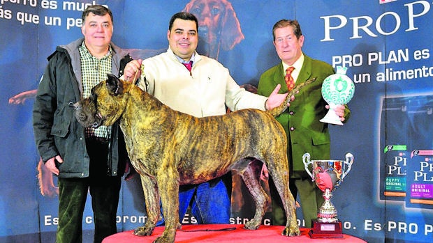 Felipe Llano con su campeón en una exposición internacional de Granada