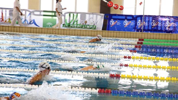 El complejo deportivo Ciudad de Cádiz ya ha contado con algunas reformas, como la adecuación del vaso de la piscina para el uso de alta competición.