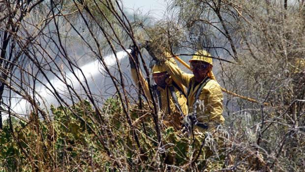 Aumentan los incendios en la provincia en el último año