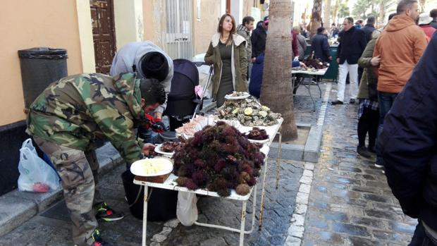 La Erizada y la Ostionada llenan el centro de Cádiz