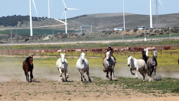 Los robos en el campo bajan por tercer año consecutivo en la provincia