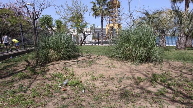 Aspecto de los jardines del parque Celestino Mutis en Astilleros.