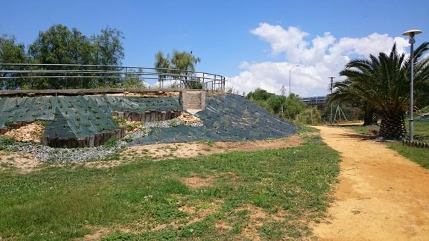 Actos vandálicos dejan sin riego el recién remodelado parque de la calle Las Olas en Puerto Real