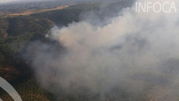 Imagen facilitada por el INFOCA del incendio de Constantina