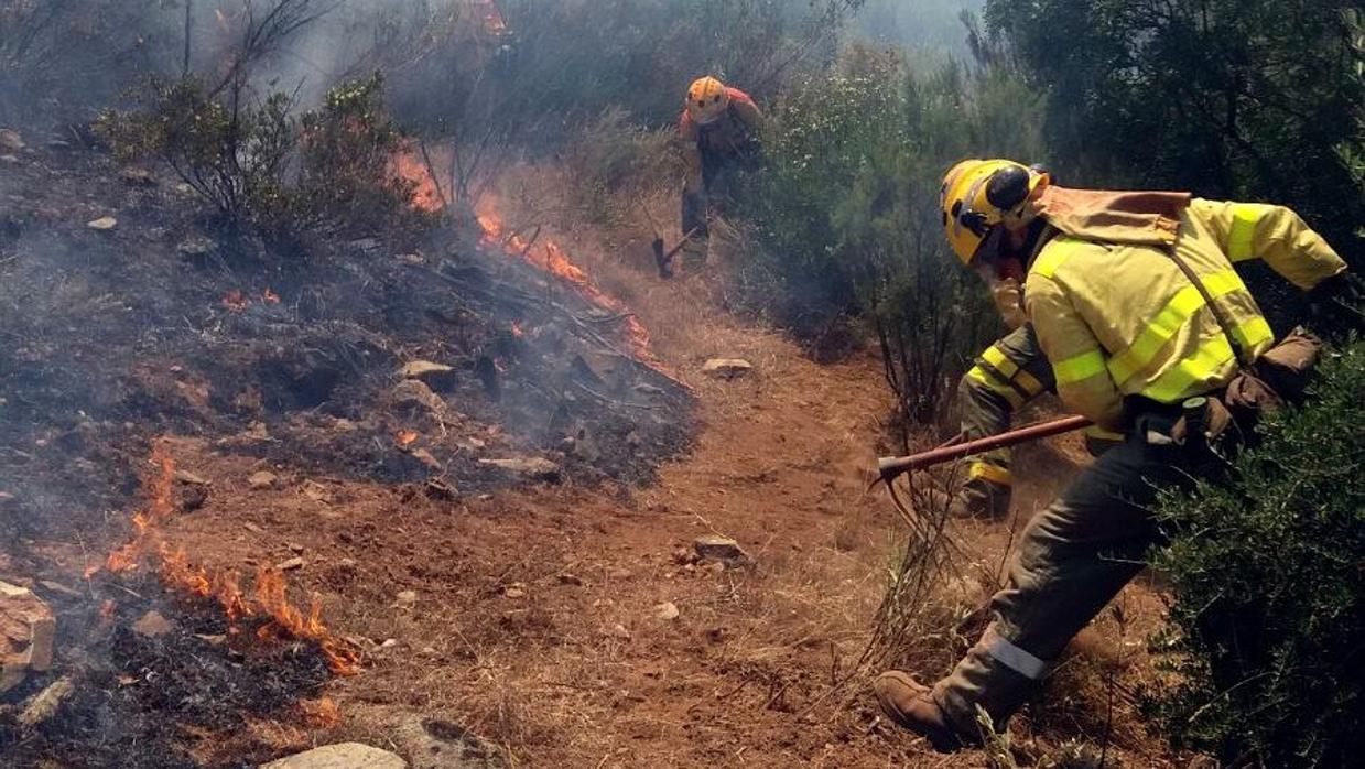 Bomberos trabajando en el incendio de El Madroño