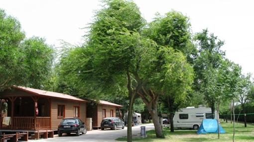 Los diez mejores campings de la provincia de Cádiz