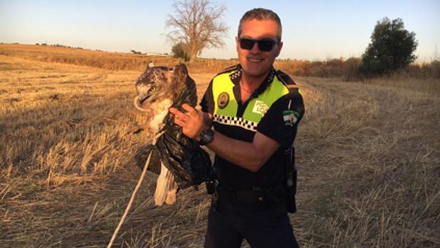 Un agente de la Policía Local de Mairena del Alcor con el ave rescatada