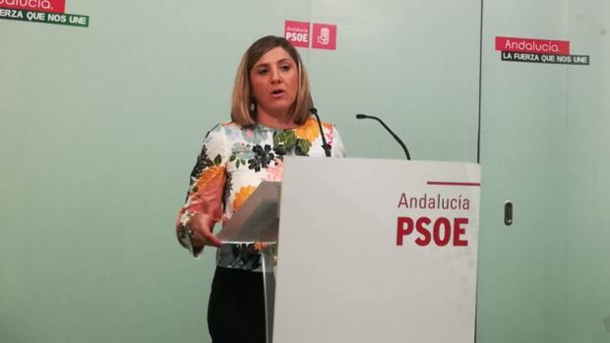 Irene García confirma en rueda de prensa que se presenta a la reeleción.