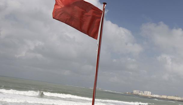 Bandera roja en la playa de La Línea ante la posible presencia de un tiburón