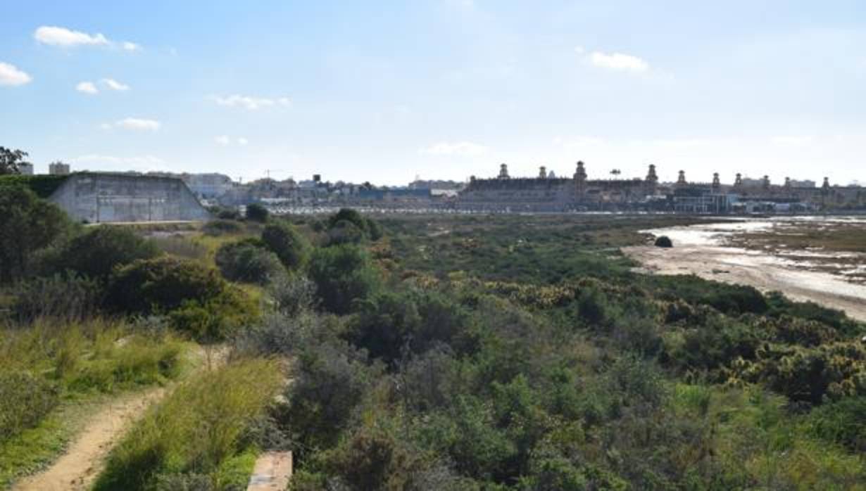 Imagen de San Fernando desde los terrenos de los polvorines de Defensa