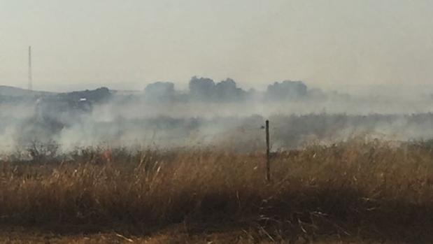 Controlado un incendio que ha llegado a alcanzar la mediana de la A-49