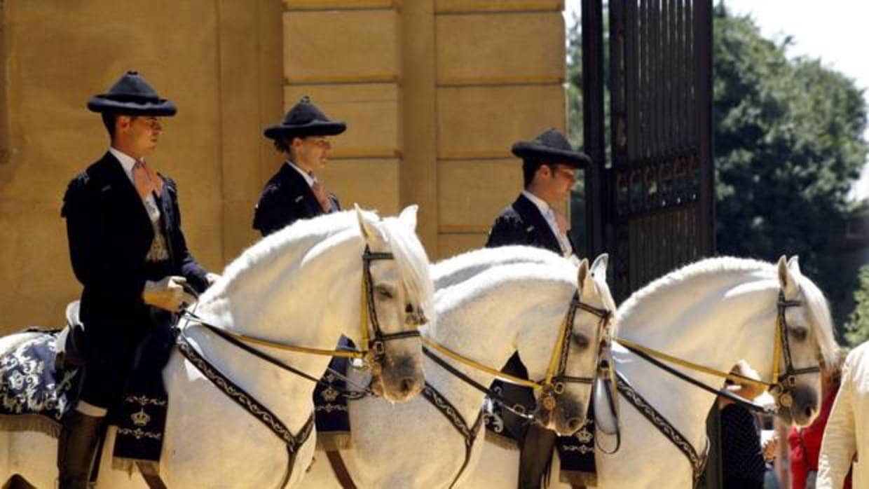 El caballo es un símbolo cultural de Jerez y un importante segmento económico