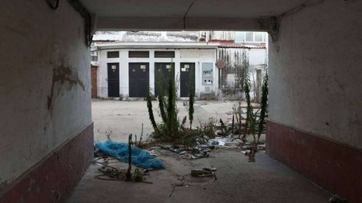 Una finca abandonada en el casco histórico donde se han visto ratas.