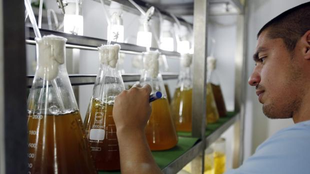 Cuando el trabajo es la mejor escuela