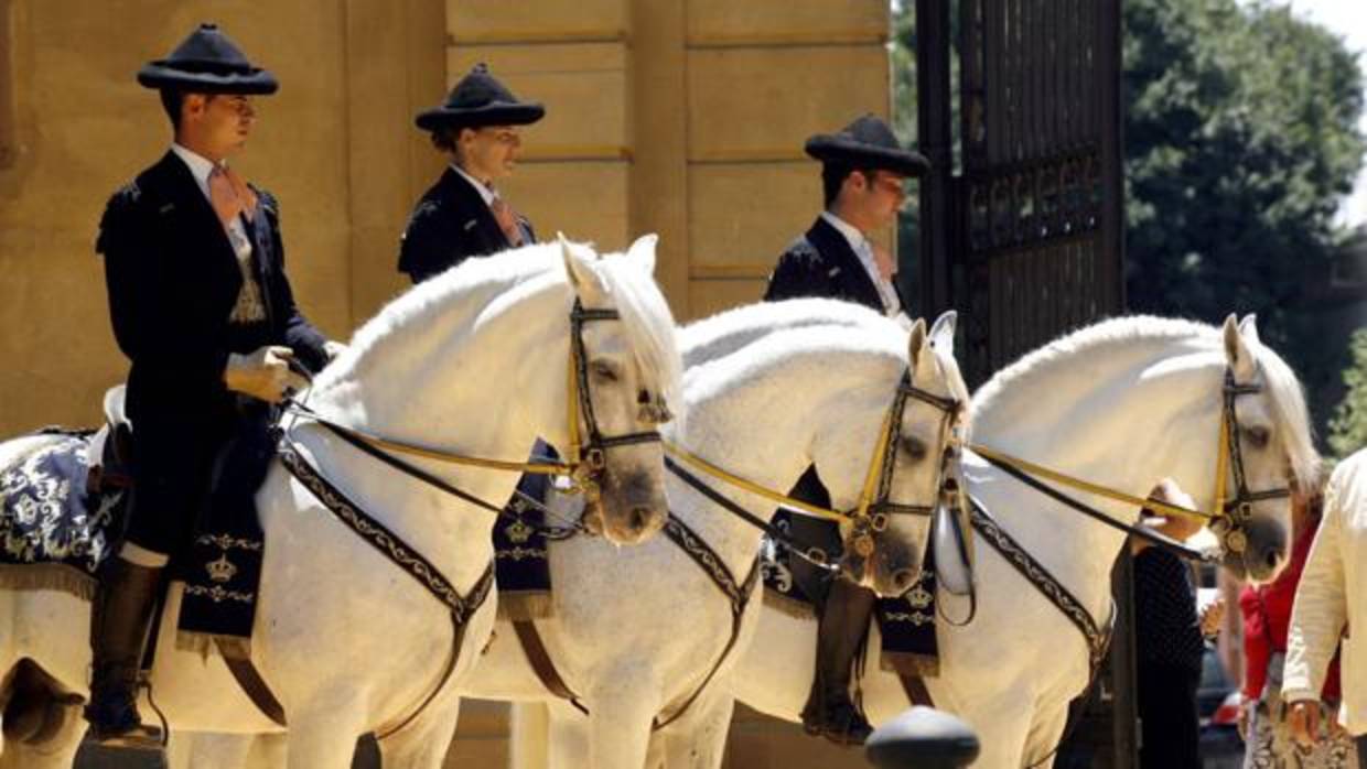 El Día Europeo del Caballo de Jerez acoge la exposición &#039;Saca de yeguas: arena y polvo&#039;