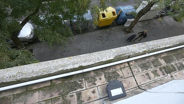 Kichi afea al PP que hable de «plaga de ratas» en una ciudad «que aspira a vivir del turismo»