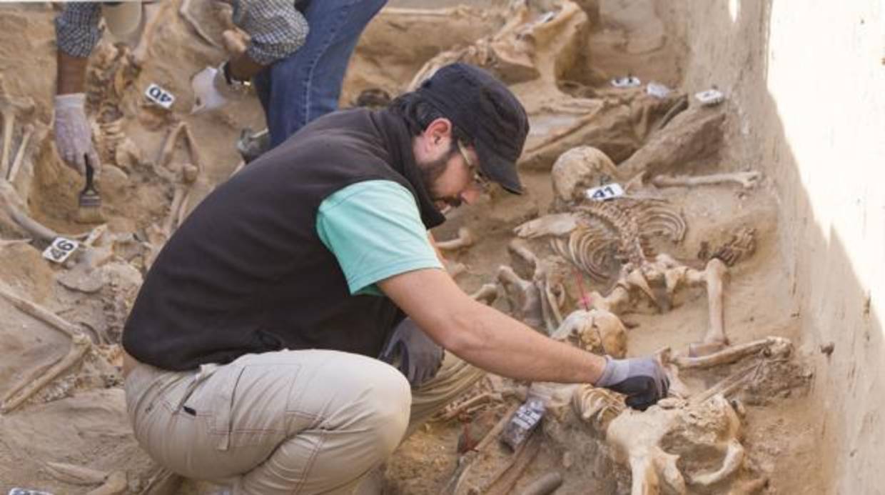 Reactivan las exhumaciones en el cementerio de San José de Cádiz