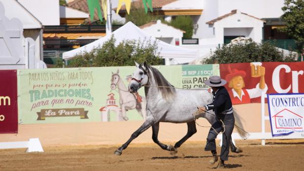 «Una Pará en Gines»: tradición mirando al futuro