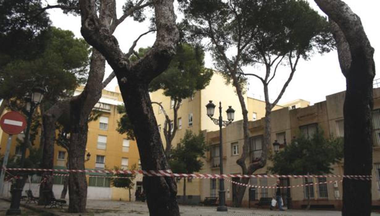 La vivienda donde entraron los supuestos ladrones está ubicada en las proximidades de la Plaza del Árbol