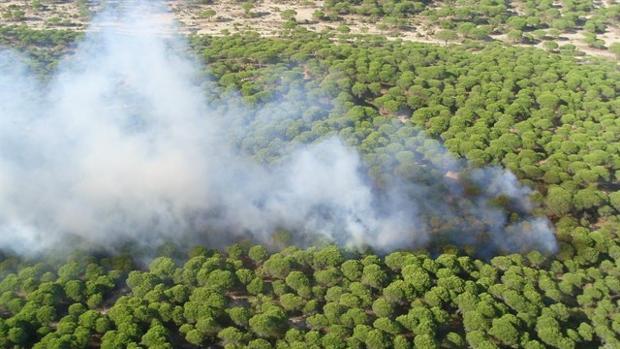 A prisión el acusado de provocar varios fuegos en Barbate este verano