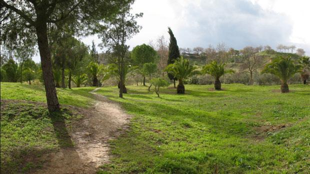 El Ayuntamiento de El Viso del Alcor solicita colaboración ciudadana para frenar los incendios en La Muela